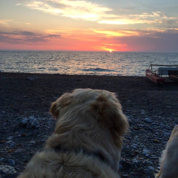 contemplando il tramonto